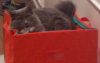 upload_2017-9-2_23-24-39.png