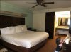 IMG_1835.jpg
