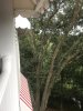 IMG_3184.JPG