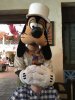 goofy2.jpg