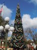 Mk-tree1.jpg
