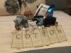 cotton.jpg