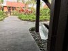 IMG_3502.JPG