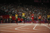 bolt-200.gif