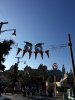 cars land 3 resize.jpeg