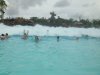 IMG_5716.JPG