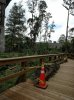 IMG_20170911_130348917 - Copy.jpg