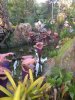 IMG_5840.JPG