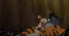 image.gif