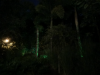 IMG_1900.png