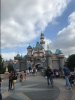 IMG_8688.JPG.jpeg