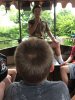 IMG_2215.JPG.jpg