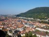 20170923_111646_resized.jpg