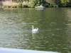 20170923_155831_resized.jpg