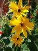 20170922_130530_resized.jpg