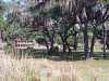 13227281_10209190938388053_1090276199610504648_o.jpg