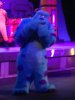 IMG_6472.JPG