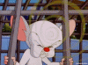 giphy-4.gif