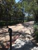2017-09-13 12.32.01.jpg