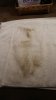 WDW dirty floor wash clothe.jpg
