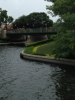 IMG_6505.JPG