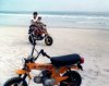img044.jpg