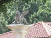 IMG_3039.JPG