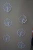 DSC03189.JPG