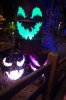 DSC01811.JPG