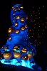 DSC01850.JPG