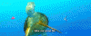gimme+some+fin.gif
