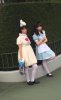 image.jpeg image.jpeg