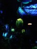 Disney August 2017 107.jpg