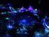 Disney August 2017 109.jpg