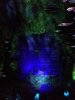 Disney August 2017 119.jpg