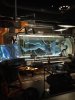 Disney August 2017 122.jpg