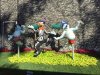 IMG_2666.JPG