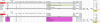 Screen Shot 2017-10-04 at 9.07.54 AM.png