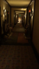 IMG_1414.PNG