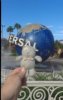 WDW kitty.jpg