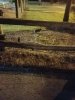 20171005_220619-1512x2016.jpg