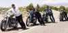 wild-hogs.jpg