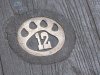 IMG_8690.JPG