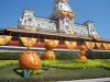 pumpkins.jpg