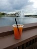 20171007_180109-1512x2016.jpg