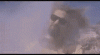 IMG_2066.GIF