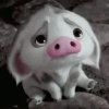 pua.gif