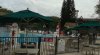 WDW POOL 2.jpg