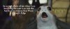 Porg Meme 1.jpg