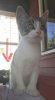 3B67D5D8-5949-41C6-AEC3-93FE1C3BEB89.jpeg